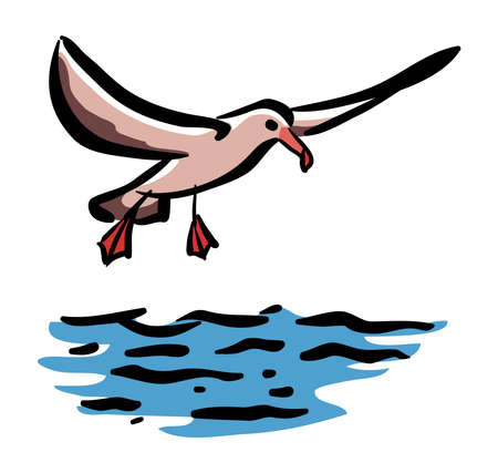 Albatross Flying on top of the sea vector illustrationのイラスト素材