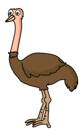 An ostrich standing stock illustration vector isolated in white backgroundのイラスト素材