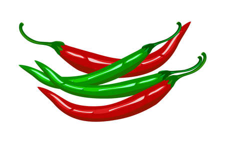 Chillies pepper illustration vector isolated on white backgroundのイラスト素材