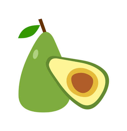 Avocado illustration logo icon vector isolated on white background. Fruit illustrationのイラスト素材