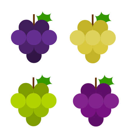 Grape illustration vector blue, purple, green and yellow. Grape logo icon vectorのイラスト素材