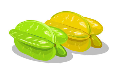 Star fruits vector isolated on white backgroundのイラスト素材