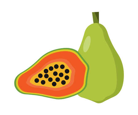 Papaya illustration logo icon vector isolated on white backgroundのイラスト素材