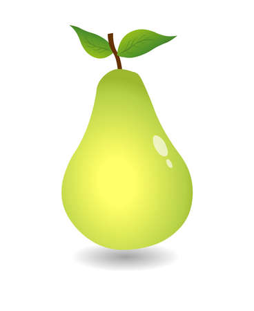 Pear fruit illustration vector isolated on white backgroundのイラスト素材