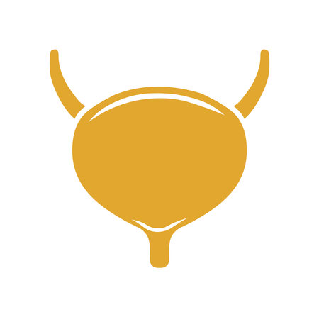 Bladder illustration logo icon isolated on white backgroundのイラスト素材
