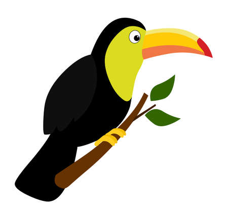 Toucan bird cartoon illustration vector isolated on white backgroundのイラスト素材