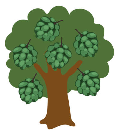 Custard apple Tree Stock Illustration vector isolated in white backgroundのイラスト素材