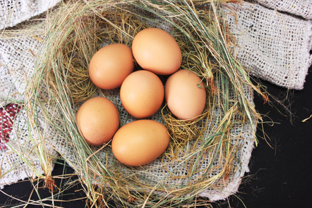 The Eggs closeup picture on the burlap cloth stock photo , brown eggs
