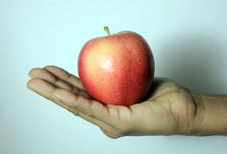 Woman hand holding an apple  stock photoの写真素材
