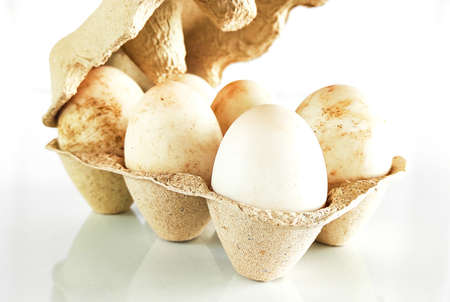 Duck eggs in a container stock photoの写真素材