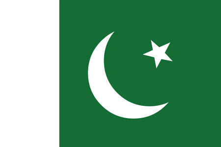 Pakistan flag vector National flag of Pakistanのイラスト素材