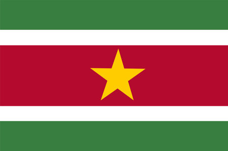 Suriname flag vector National flag of Surinameのイラスト素材
