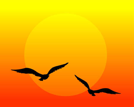 Flying birds in sunset vector background illustrationのイラスト素材