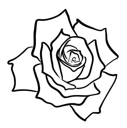 Rose flower illustration vector on white backgroundのイラスト素材