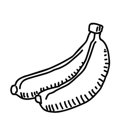 Banana hand drawn illustration vector on white backgroundのイラスト素材