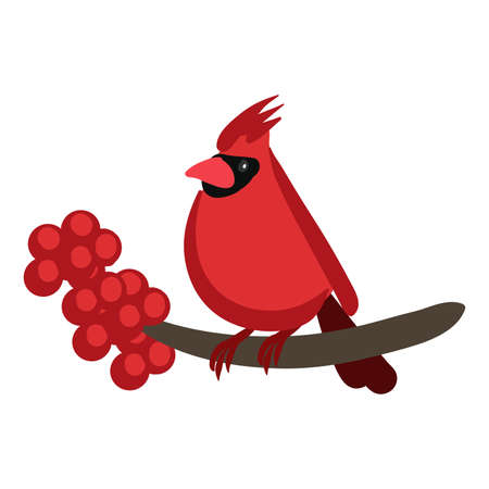 christmas bird illustrationのイラスト素材