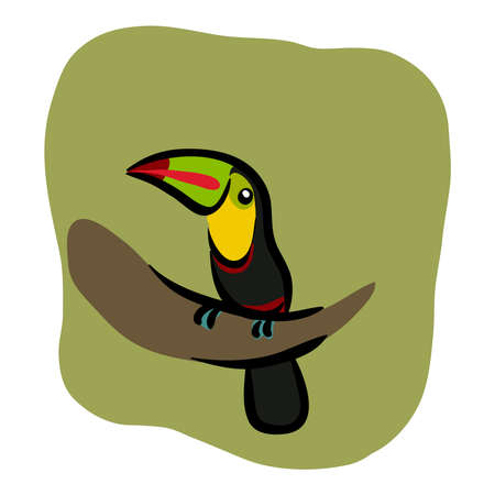 Tucan bird sitting on a tree vector illustrationのイラスト素材