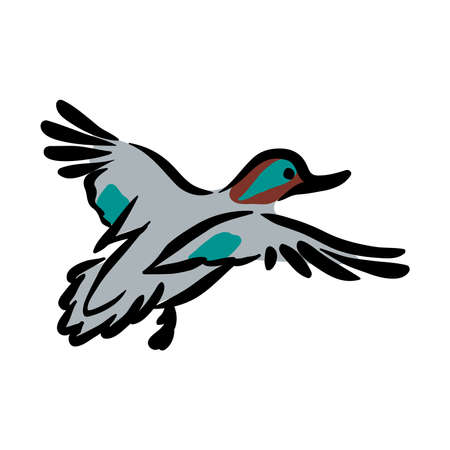 flying duck illustration isolated in white backgroundのイラスト素材
