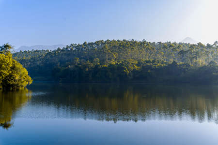 Backwaters and green forest early morning . Stock photo
