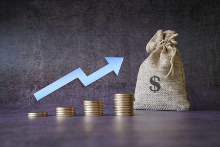 Money growth concept, where small coins in a pile gets bigger and higher for each pile . Stock Photoの写真素材