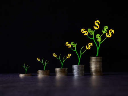 Money growth Saving money. Upper tree coins to shown concept of growing business  . Stock Photoの写真素材