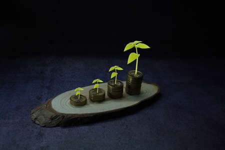 Money growth concept, where small coins in a pile gets bigger and higher for each pile . Stock Photoの写真素材