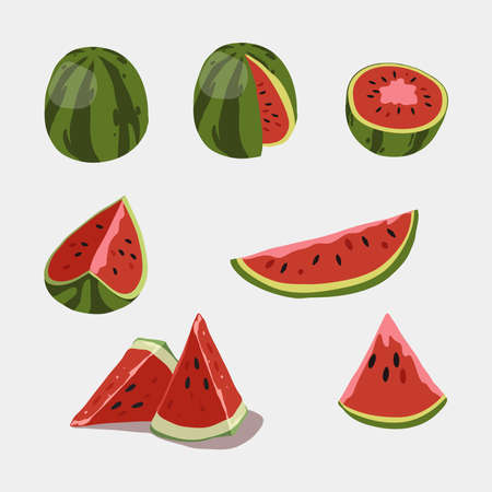 Water melon clip art vector illustrationのイラスト素材