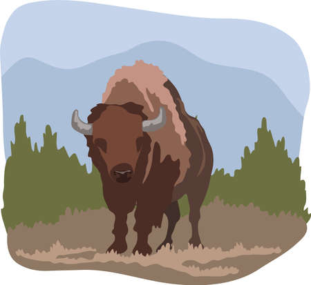 Wild bison animal as symbol of big fauna  , Vector illustrationのイラスト素材