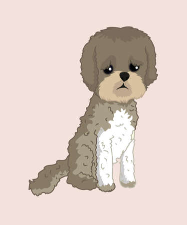 Shih Tzu dog sitting vector illustrationのイラスト素材