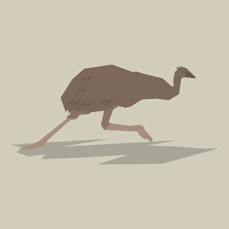 Australian emu Clip art.のイラスト素材