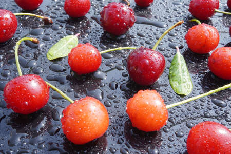 Cherry fruit on a black background with water drops