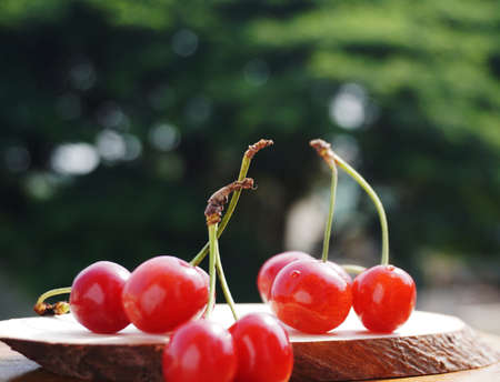 Cherry fruit on a nature background