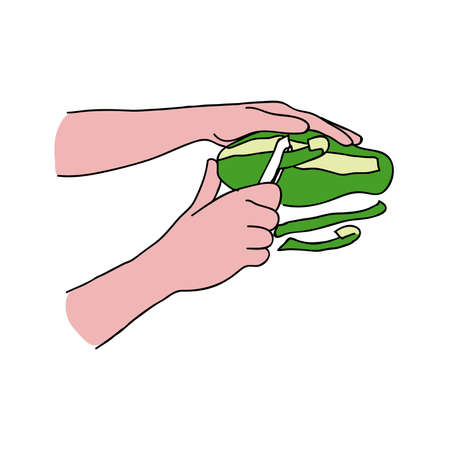 Cutting  Pappaya Clip artのイラスト素材