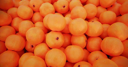 Group of bio organic mandarines for backgroundの写真素材