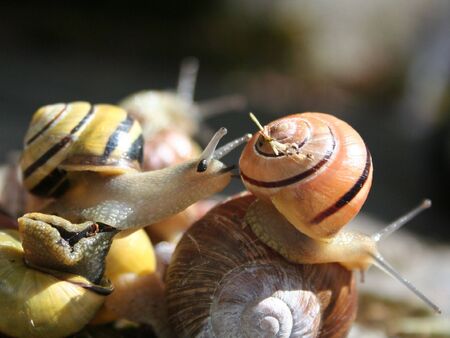 Cath me if you canの写真素材