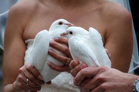 Married couple holding white pigeons, which is an accepted custom during wedding ceremonies