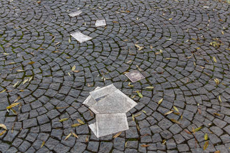 White Rose memorial with leaflets in front of the main building of the Ludwig Maximilians University in Munich to remember the student group White Rose that formed an active opposition against the Nazi regimeのeditorial素材