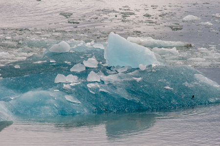 Light Blue Ice Floe in the Waterの写真素材