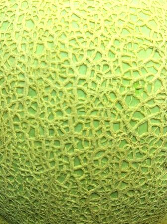 Texture of honey dew melonの素材