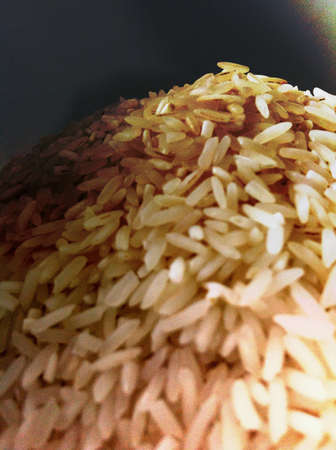 Close up of riceの素材