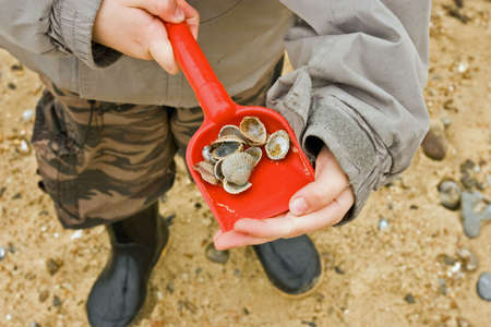 Boy collecting shells in winter