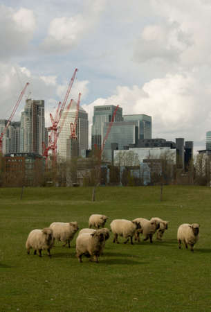 City and rural