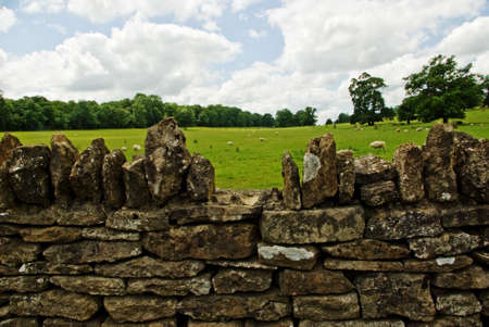Wiltshire rural sceneの写真素材