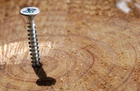 SCREW WOOD                               の写真素材