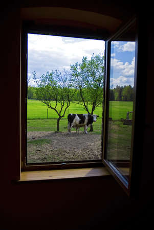 windowの写真素材