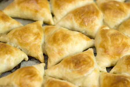 Asian pies with meat, samsa