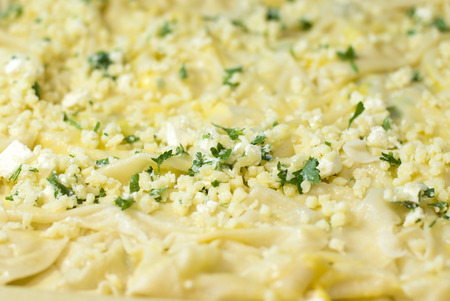 Cooking the Turkish pie with cheeseの写真素材