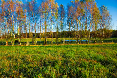 Poland Spring view of green fieldの写真素材