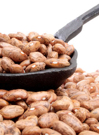 Close up of organic pinto beans in a cast iron laddle.