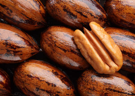Pecan halve on a  group of whole pecans.